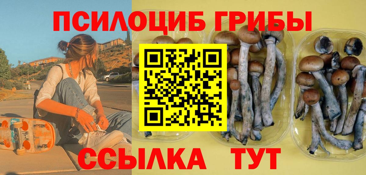 Псилоцибиновые грибы GOLDEN TEACHER Благодарный